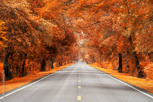 路上有黄叶和红叶，秋天的景象