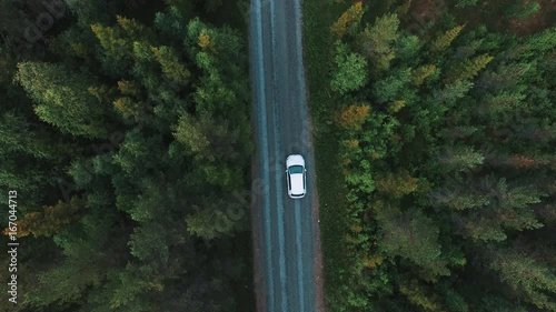 航拍汽车行驶在松树林中的道路上