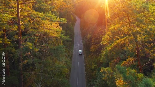 汽车行驶在秋林路上的鸟瞰图。秋景秀丽