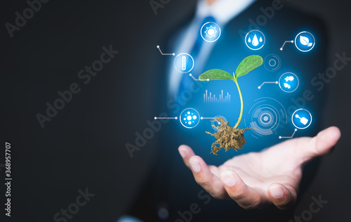 商人手握苗木，用科技理念打造现代农业